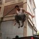 Brick Mansions (La Fortaleza)