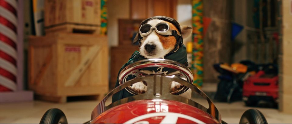Pancho, el perro millonario