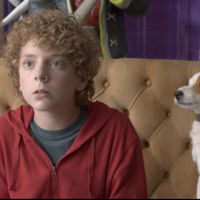 Pancho, el perro millonario