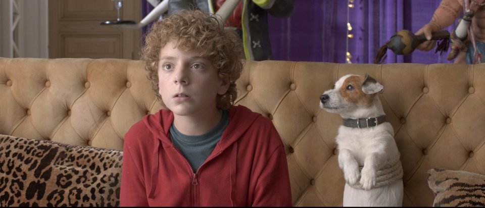 Pancho, el perro millonario