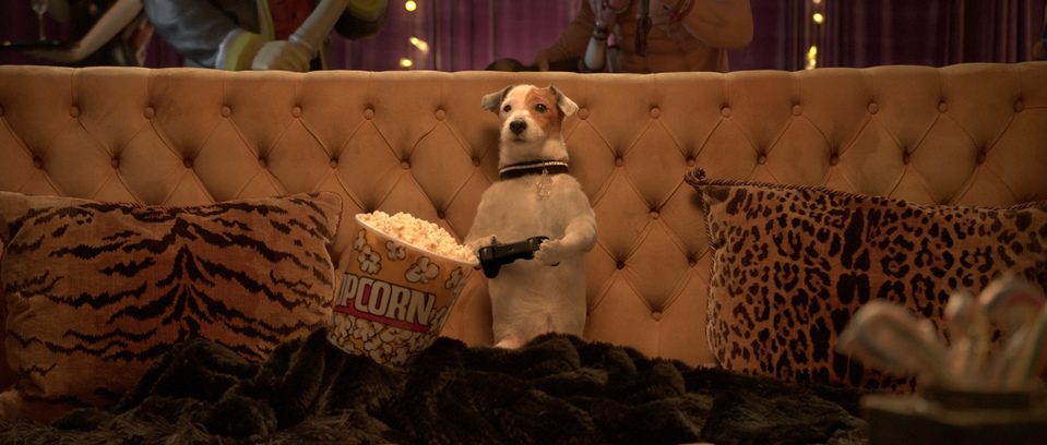 Pancho, el perro millonario