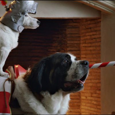 Pancho, el perro millonario