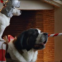 Pancho, el perro millonario