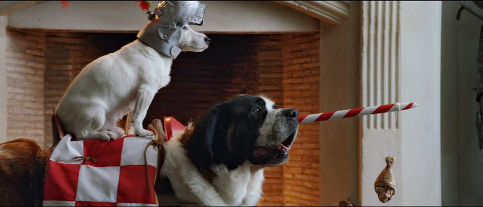 Pancho, el perro millonario