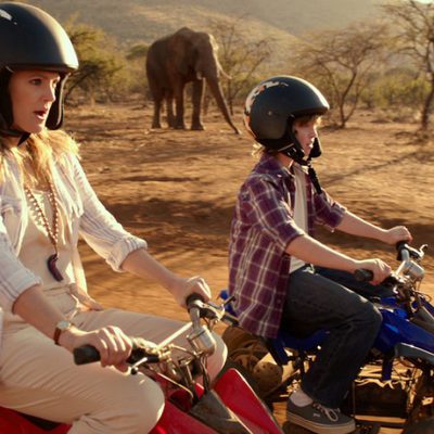 Luna de miel en familia