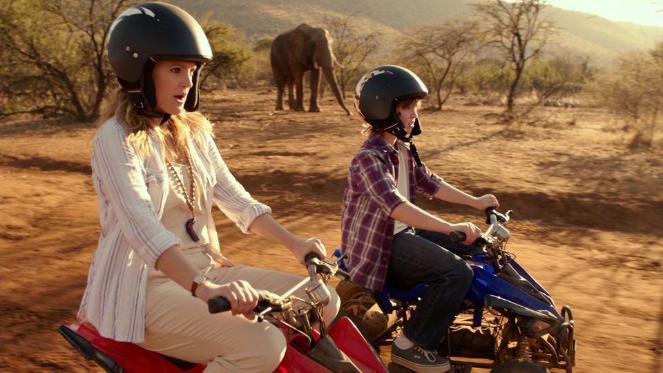 Luna de miel en familia