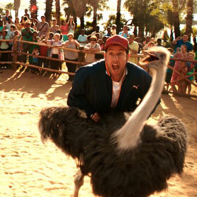 Luna de miel en familia