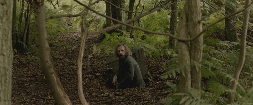 Borgman