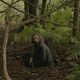 Borgman