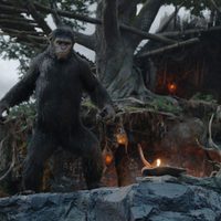 El amanecer del planeta de los simios