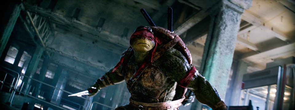 Ninja Turtles