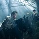 Into the Woods