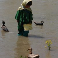 Buda explotó por vergüenza