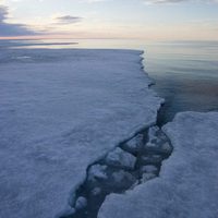 Los reyes del Ártico