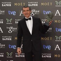 Antonio Banderas, Goya de Honor 2015