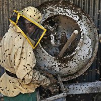 El país de las maravillas