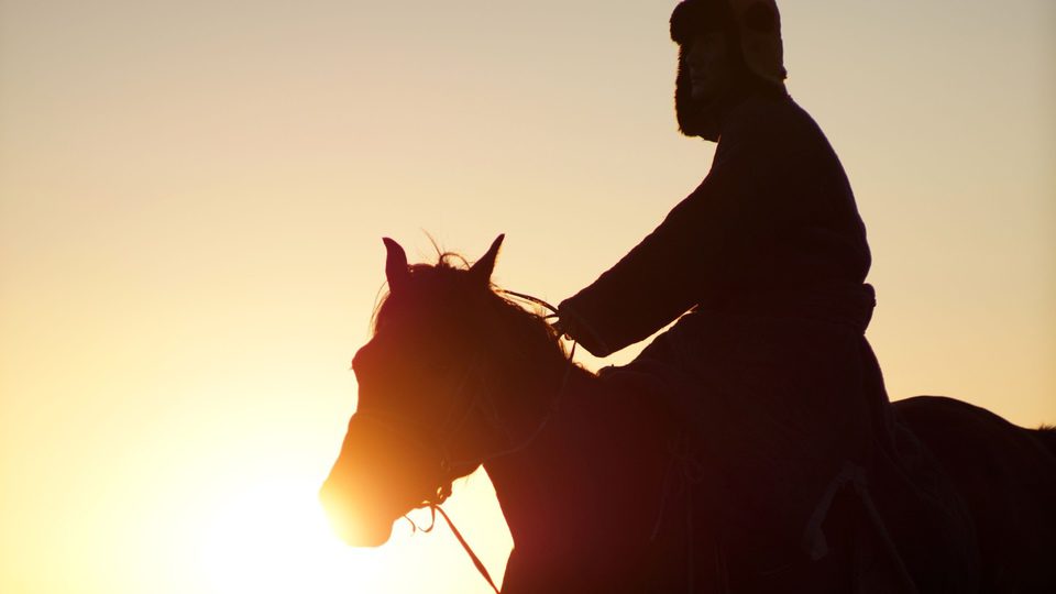 El último lobo
