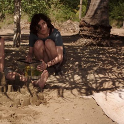 Los insólitos peces gato