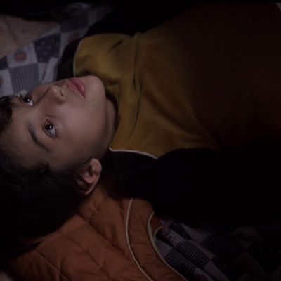 Los insólitos peces gato