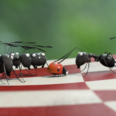 Minúsculos: El valle de las hormigas perdidas