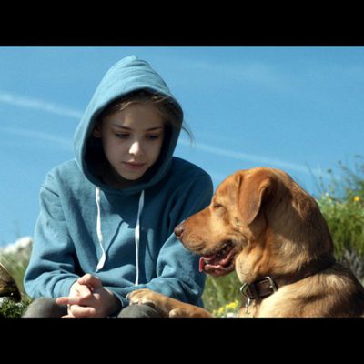 White God (Dios blanco)