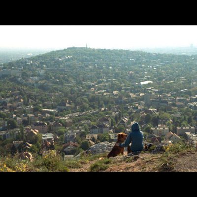 White God (Dios blanco)