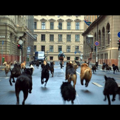 White God (Dios blanco)