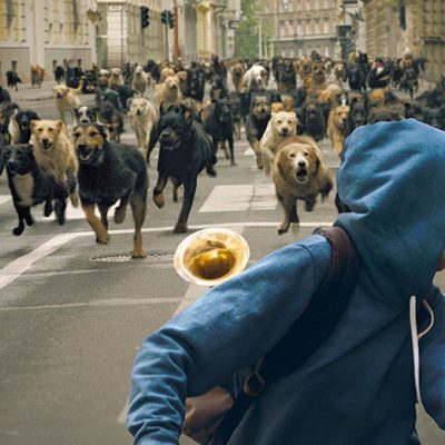 White God (Dios blanco)