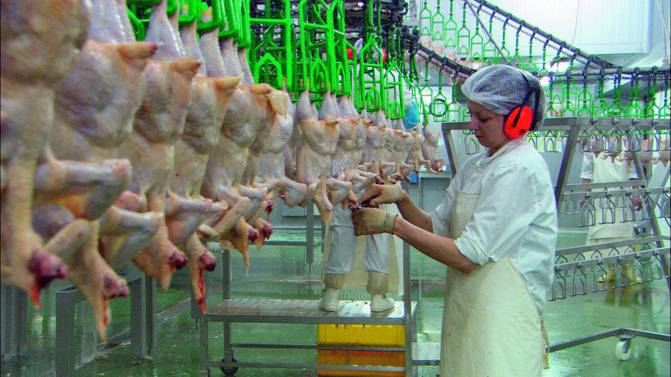 Nuestro pan de cada día