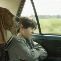 Las sillas musicales