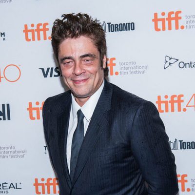 Benicio del Toro en el Festival de Toronto 2015