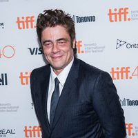 Benicio del Toro en el Festival de Toronto 2015