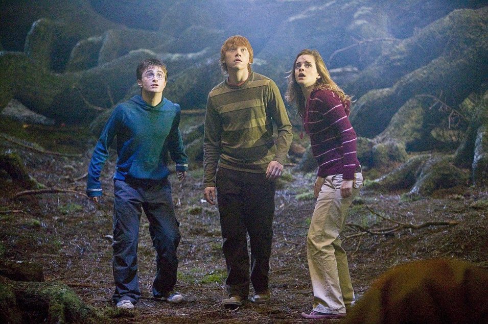 Harry Potter y la Orden del Fénix