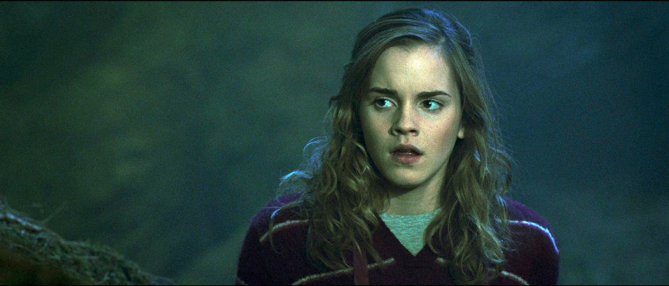 Harry Potter y la Orden del Fénix