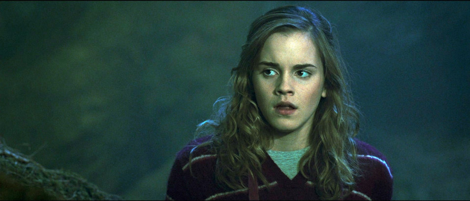 Harry Potter y la Orden del Fénix