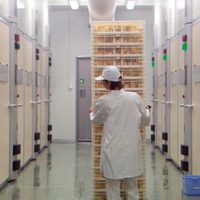 Nuestro pan de cada día