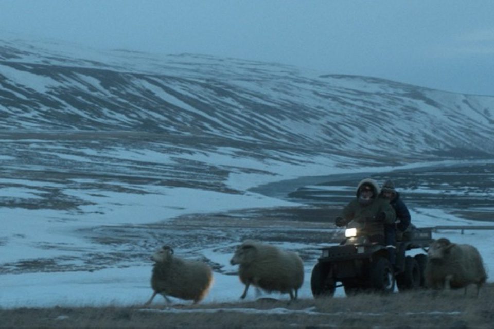 Rams (El valle de los carneros)