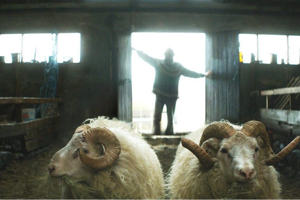 Rams (El valle de los carneros)