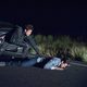 Sicario