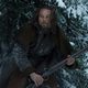 El renacido (The Revenant)