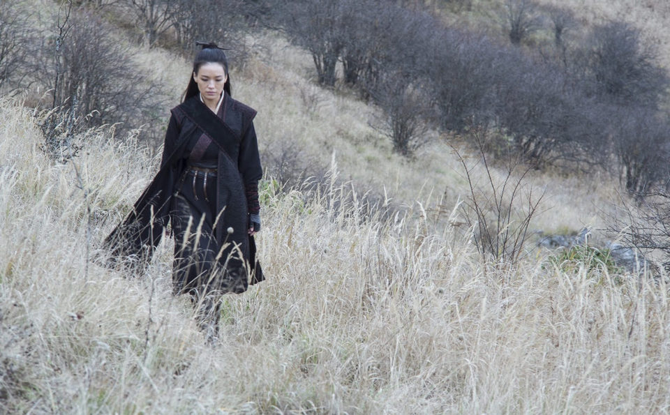 The Assassin
