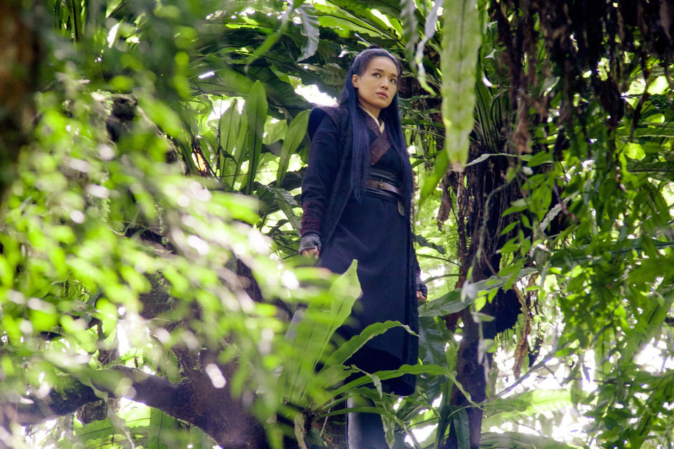 The Assassin