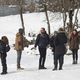 Palmeras en la nieve