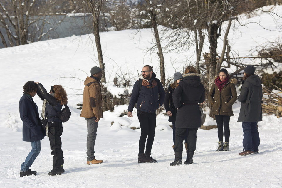 Palmeras en la nieve