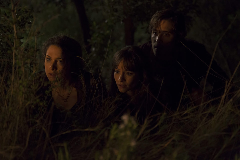 Campamento del terror (Summer Camp)