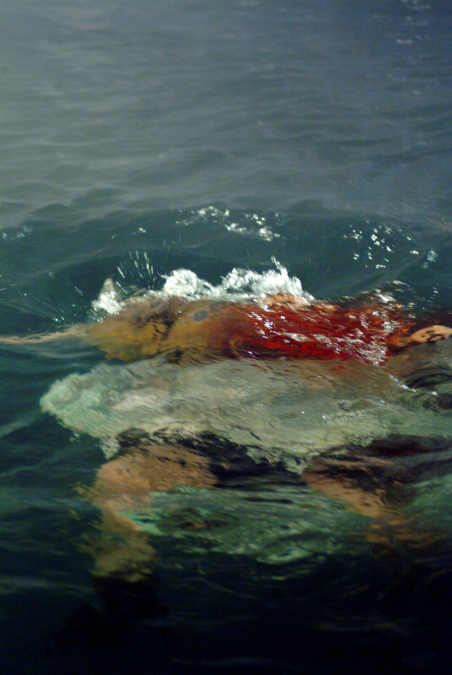 El territorio de la bestia