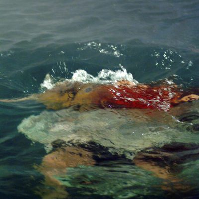 El territorio de la bestia