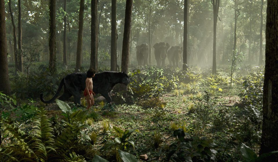 El Libro de la Selva