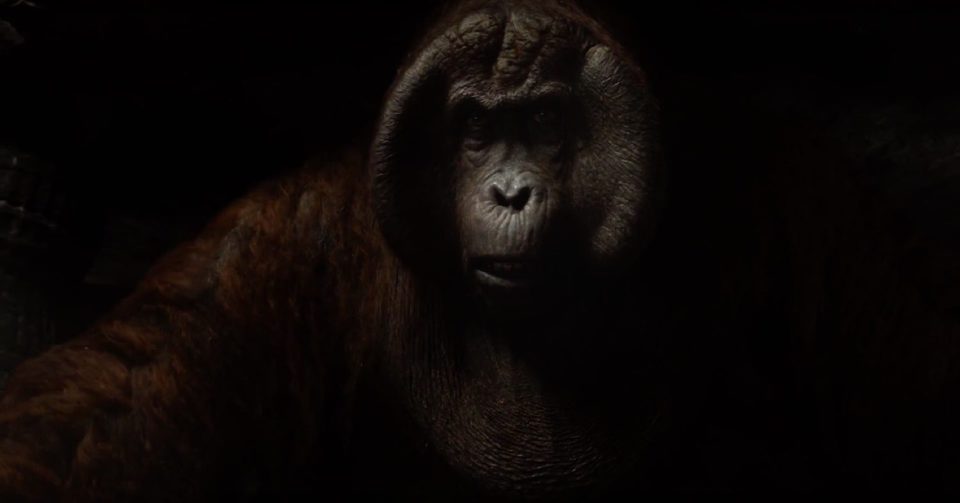 El Libro de la Selva