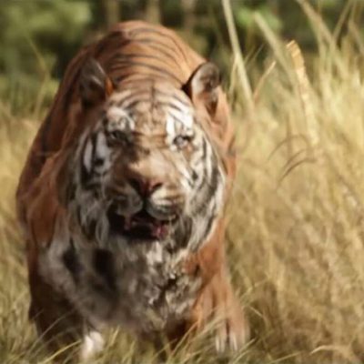 El Libro de la Selva